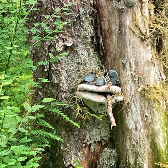 Meet your Posher, Kelly - Picture 1 of 1